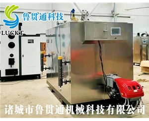 1噸燃?xì)猓ㄓ停┱羝l(fā)生器 現(xiàn)貨供應(yīng)，工廠直銷，規(guī)格型號(hào)眾多，可來(lái)電咨詢