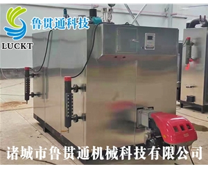 燃?xì)猓ㄓ停┱羝l(fā)生器 現(xiàn)貨供應(yīng)，工廠直銷，規(guī)格型號(hào)眾多，可來(lái)電咨詢