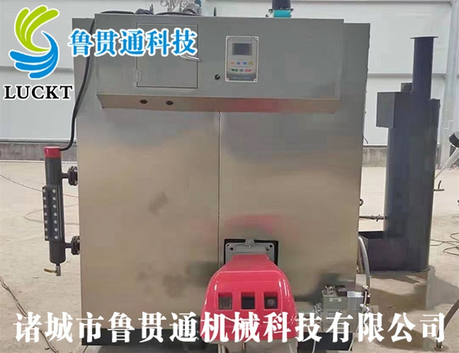 燃?xì)猓ㄓ停┱羝l(fā)生器 現(xiàn)貨供應(yīng)，工廠直銷，規(guī)格型號眾多，可來電咨詢