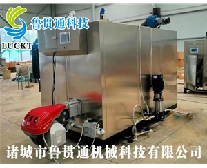 1噸燃?xì)猓ㄓ停┱羝l(fā)生器 現(xiàn)貨供應(yīng)，工廠直銷，規(guī)格型號(hào)眾多，可來(lái)電咨詢